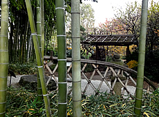 Lana-Peace　充電できる癒しの場所　板橋区立赤塚植物園